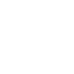 volume icon